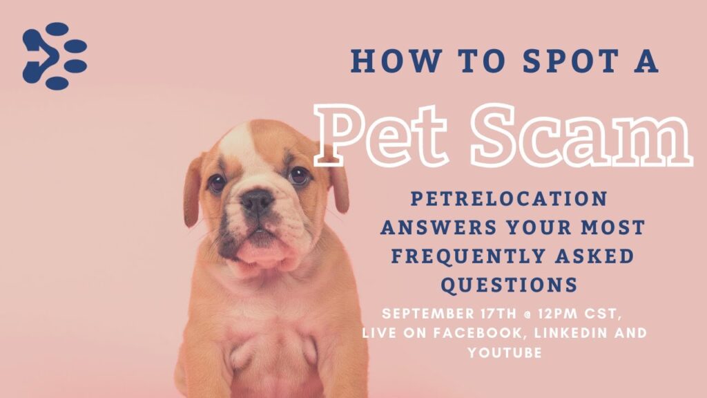 How to Spot a Puppy Scam: Ask PetRelocation!