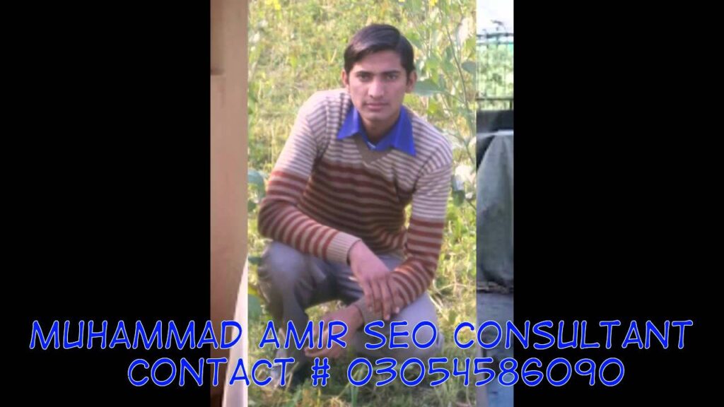 SEO Expert in Lahore  Muhammad Amir  | SEO Services provider