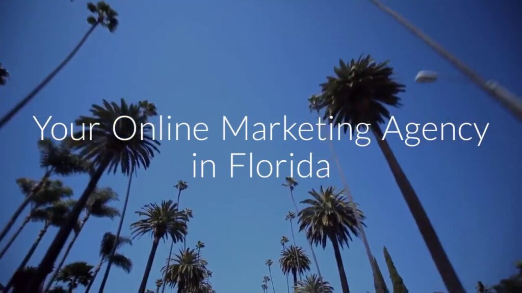 Miami SEM   SEO Services Florida