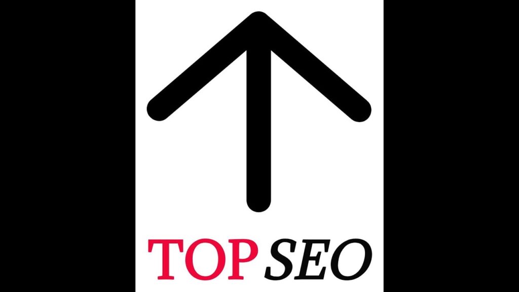 Top SEO Services (833) 3-TOP-SEO