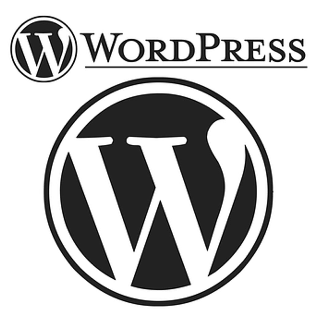 Customizr Wordpress Theme Review