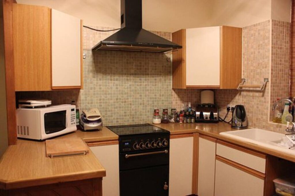 Swan Microwave Review