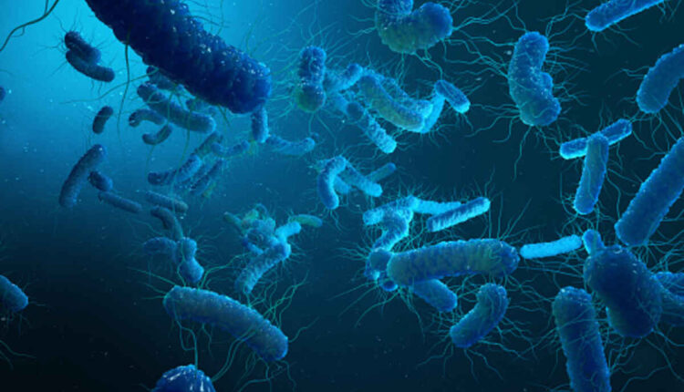 cholera