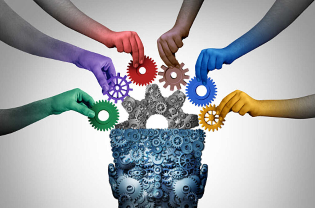 what is social science
