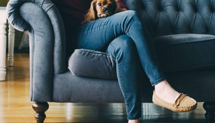 Buffalo Jeans Review