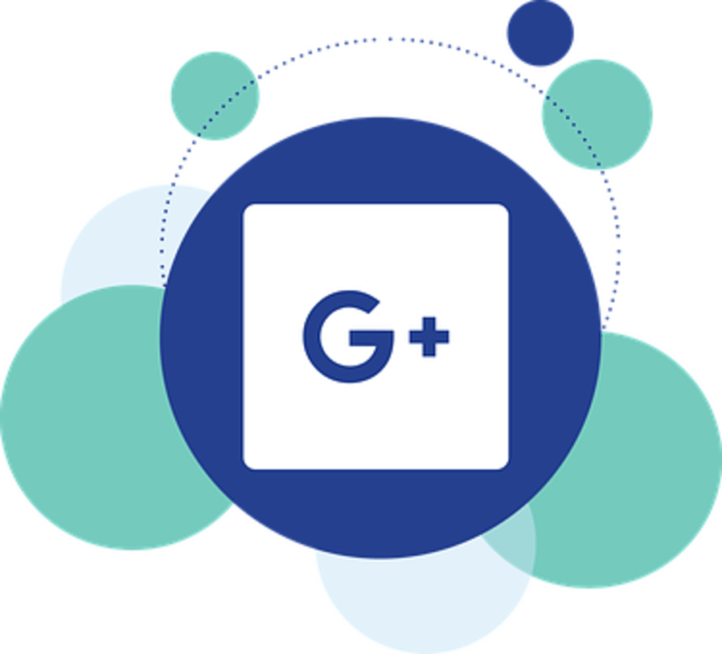 google my business website