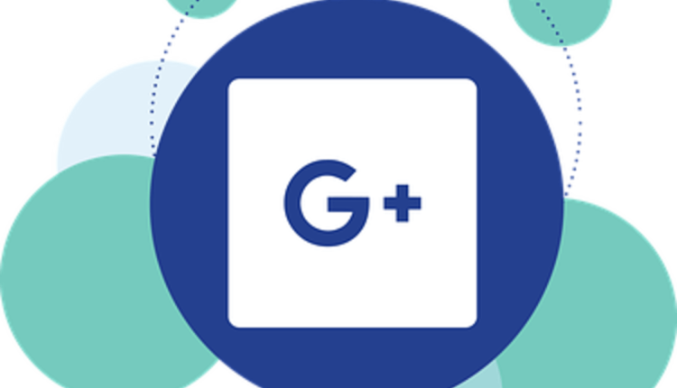 google my business website