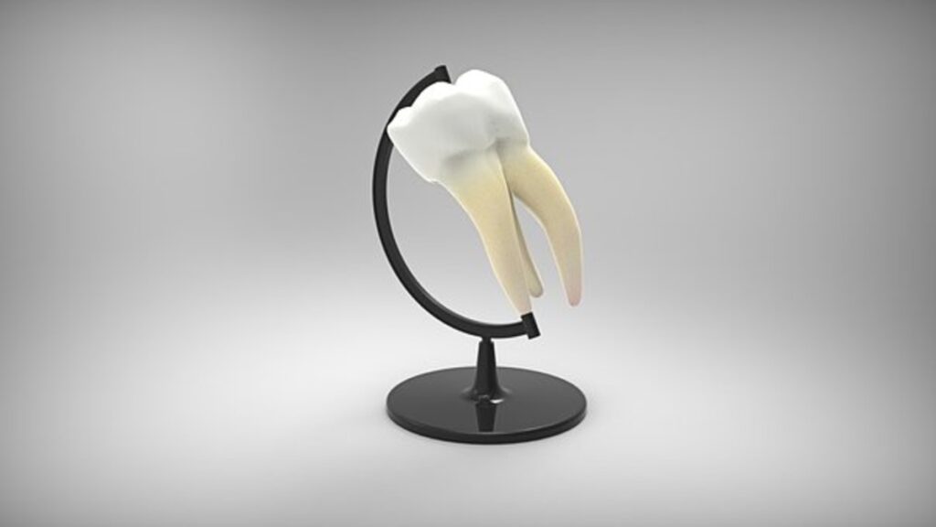 top rated dentist