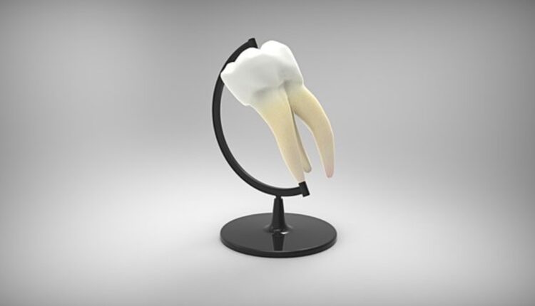 top rated dentist