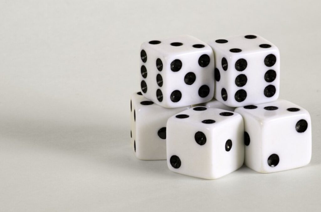이브벳 토토사이트
