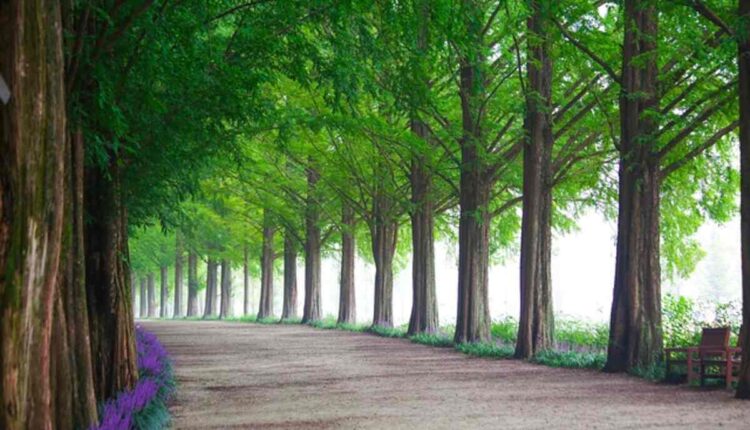 Range Meta