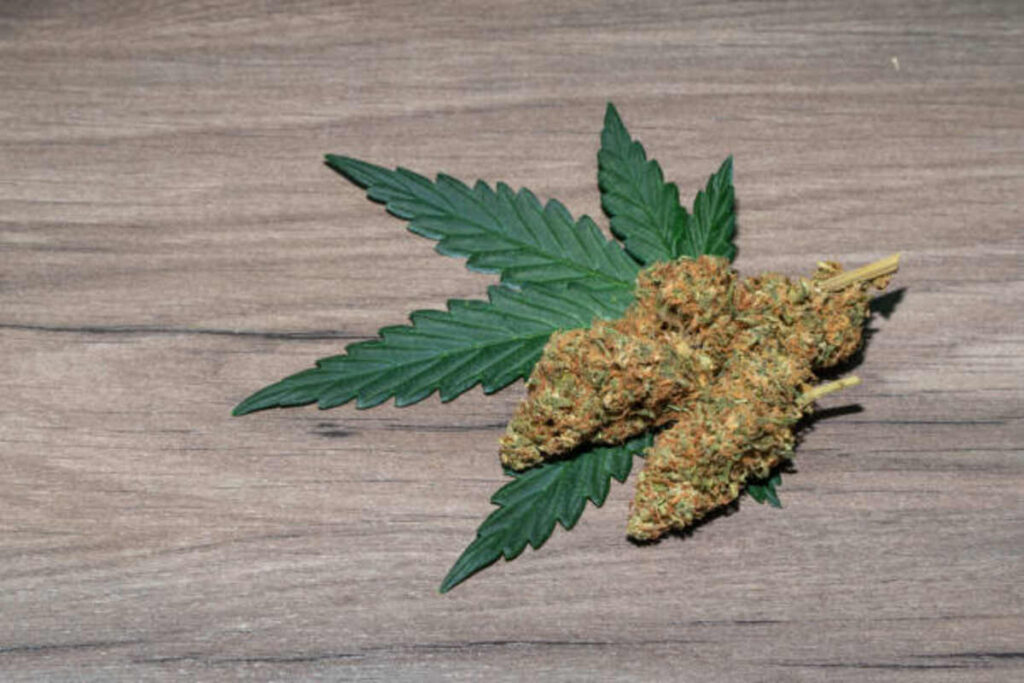 Kratom Dosage Tips for Responsible Make use of