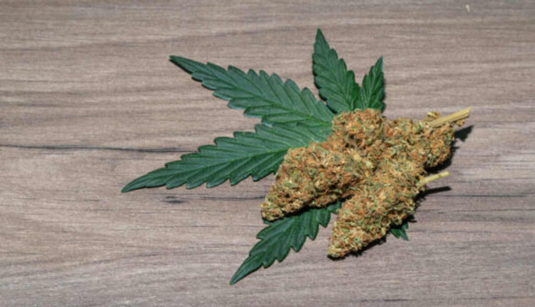 Kratom Dosage Tips for Responsible Make use of